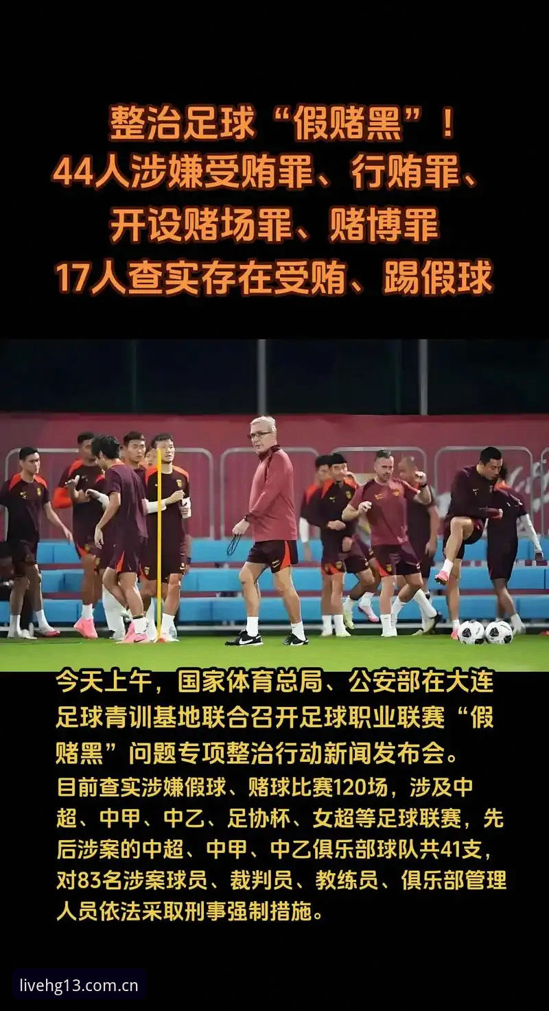 赛事直播平台教程 揭秘足协第三批禁足名单背后:hg13体育官网折射的足球治理风向