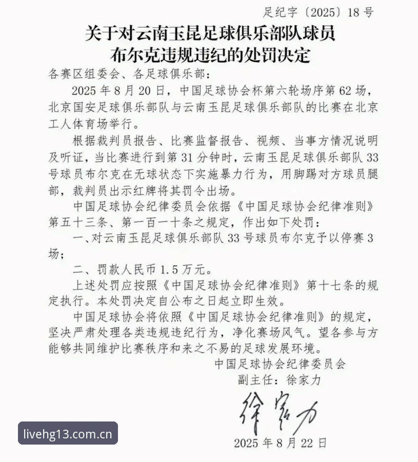 赛事直播平台教程 揭秘足协第三批禁足名单背后:hg13体育官网折射的足球治理风向